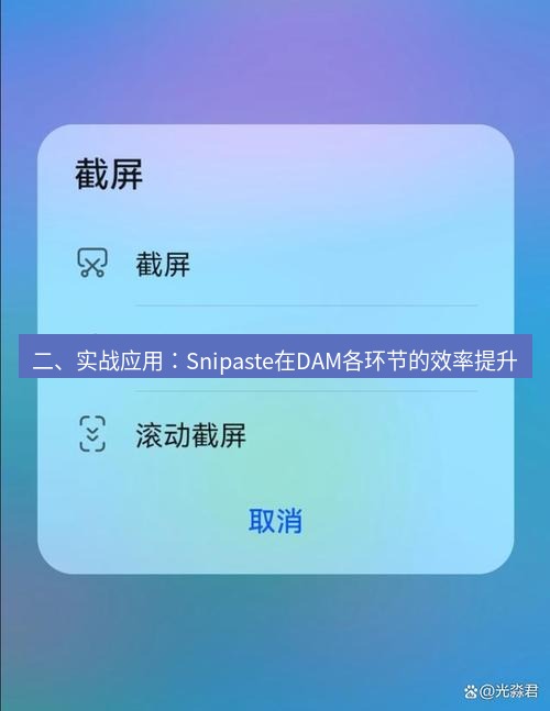 截图软件 二、实战应用：Snipaste在DAM各环节的效率提升