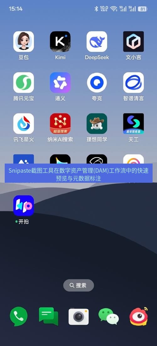 截图软件 Snipaste截图工具在数字资产管理(DAM)工作流中的快速预览与元数据标注