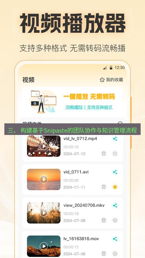 截图软件 三、 构建基于Snipaste的团队协作与知识管理流程