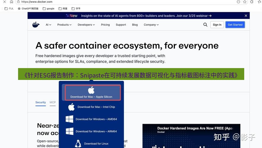 截图软件 《针对ESG报告制作：Snipaste在可持续发展数据可视化与指标截图标注中的实践》