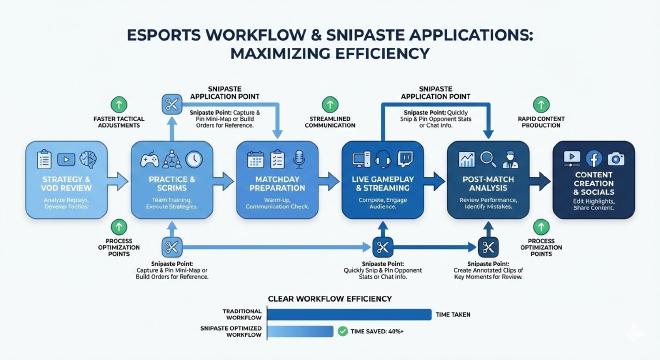完整工作流与应用