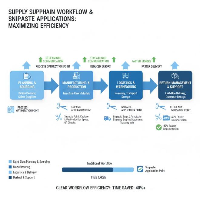 完整工作流与应用